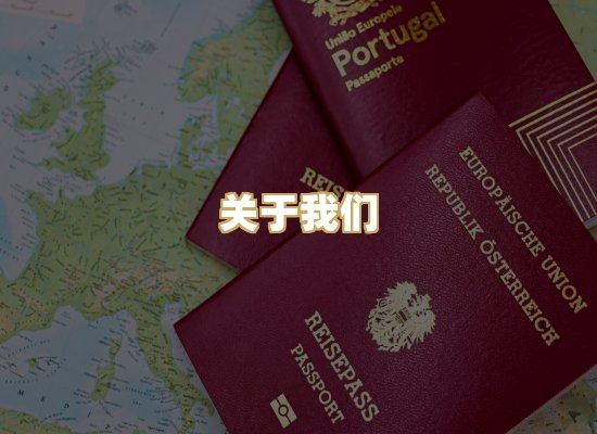 关于我们