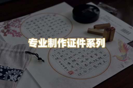 专业制作证件系列